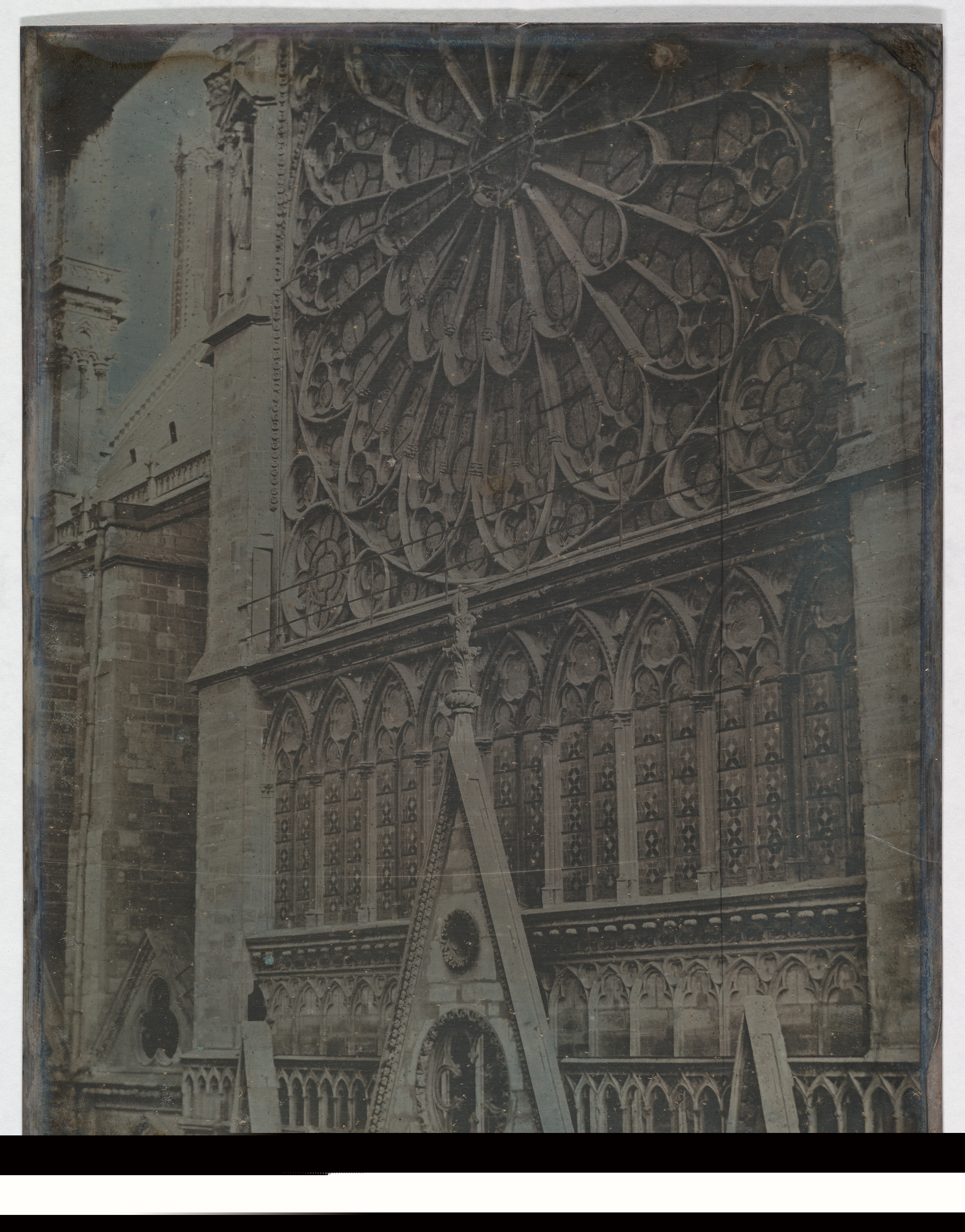 Rose Windows